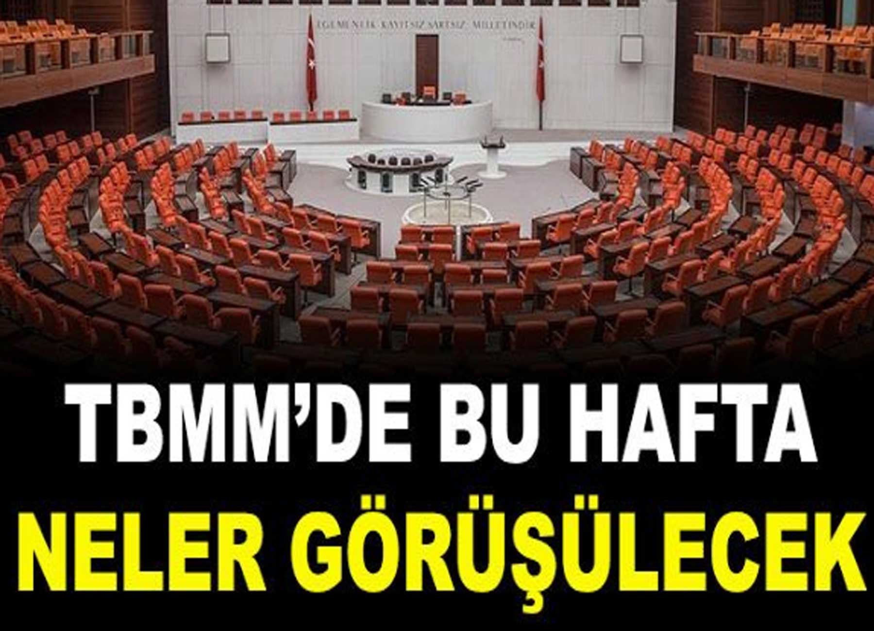 TBMM'de bu hafta gündem yoğun: Bakın, neler görüşülecek!